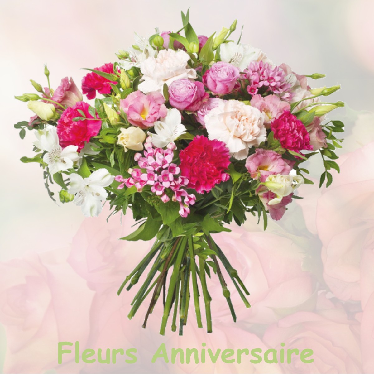 fleurs anniversaire VILLEDOUX